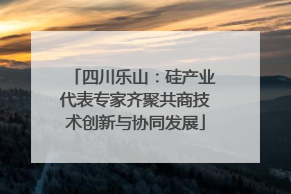 四川乐山：硅产业代表专家齐聚共商技术创新与协同发展
