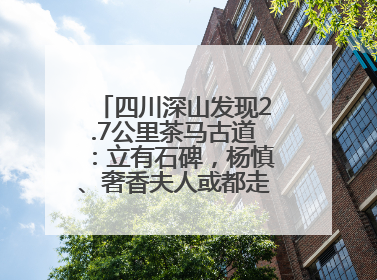 四川深山发现2.7公里茶马古道：立有石碑，杨慎、奢香夫人或都走过这条路