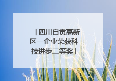 四川自贡高新区一企业荣获科技进步二等奖