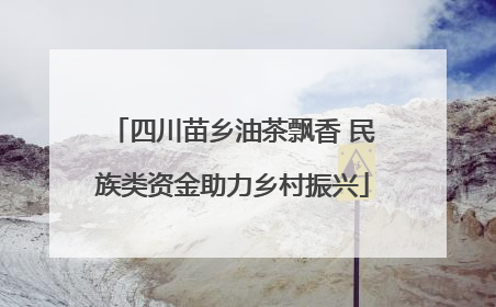 四川苗乡油茶飘香 民族类资金助力乡村振兴