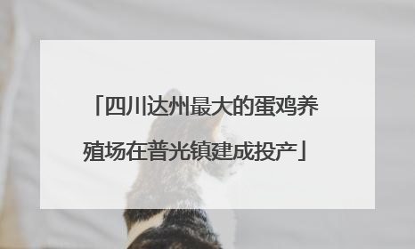 四川达州最大的蛋鸡养殖场在普光镇建成投产