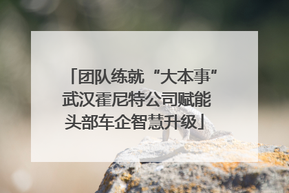 团队练就“大本事” 武汉霍尼特公司赋能头部车企智慧升级