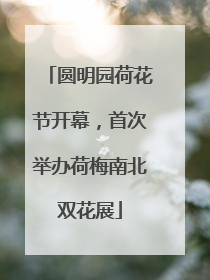 圆明园荷花节开幕，首次举办荷梅南北双花展