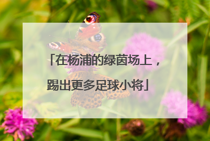 在杨浦的绿茵场上，踢出更多足球小将