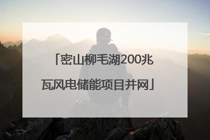 密山柳毛湖200兆瓦风电储能项目并网