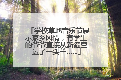 学校草地音乐节展示家乡风情，有学生的爷爷直接从新疆空运了一头羊……