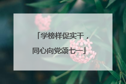 学榜样促实干，同心向党颂七一