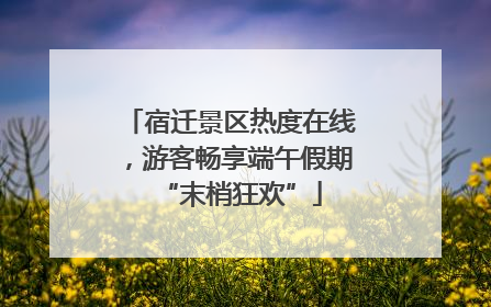 宿迁景区热度在线，游客畅享端午假期“末梢狂欢”