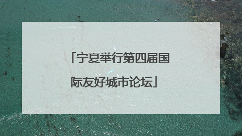 宁夏举行第四届国际友好城市论坛