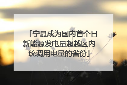 宁夏成为国内首个日新能源发电量超越区内统调用电量的省份
