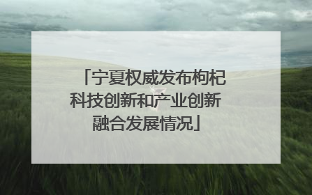宁夏权威发布枸杞科技创新和产业创新融合发展情况
