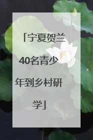 宁夏贺兰40名青少年到乡村研学