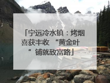宁远冷水镇：烤烟喜获丰收 “黄金叶”铺就致富路