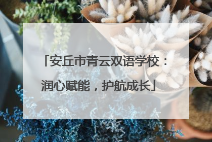 安丘市青云双语学校：润心赋能，护航成长