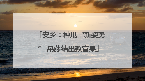 安乡：种瓜“新姿势” 吊藤结出致富果