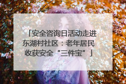 安全咨询日活动走进东湖村社区：老年居民收获安全“三件宝”