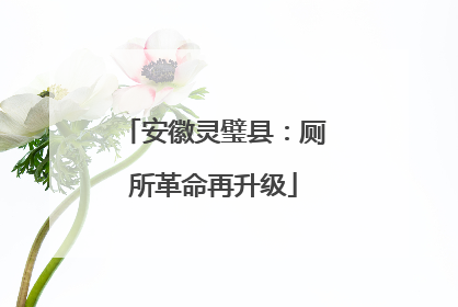 安徽灵璧县：厕所革命再升级