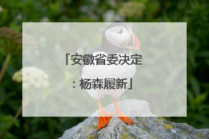 安徽省委决定：杨森履新