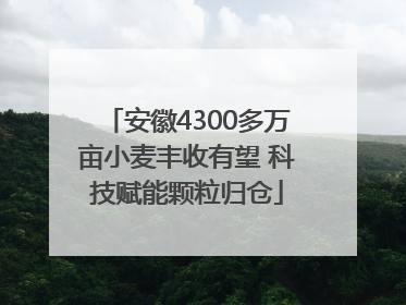 安徽4300多万亩小麦丰收有望 科技赋能颗粒归仓