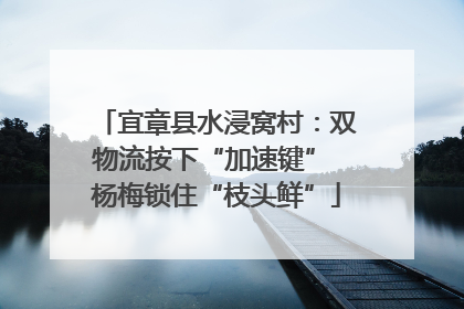 宜章县水浸窝村：双物流按下“加速键” 杨梅锁住“枝头鲜”