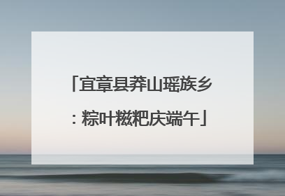 宜章县莽山瑶族乡：粽叶糍粑庆端午