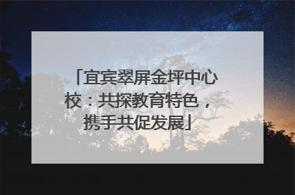 宜宾翠屏金坪中心校：共探教育特色，携手共促发展