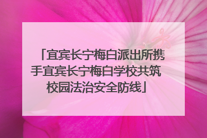 宜宾长宁梅白派出所携手宜宾长宁梅白学校共筑校园法治安全防线