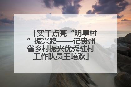 实干点亮“明星村”振兴路——记贵州省乡村振兴优秀驻村工作队员王培欢