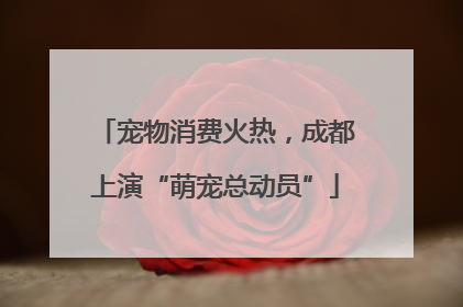 宠物消费火热，成都上演“萌宠总动员”
