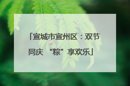 宣城市宣州区：双节同庆 “粽”享欢乐