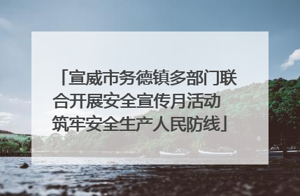 宣威市务德镇多部门联合开展安全宣传月活动 筑牢安全生产人民防线