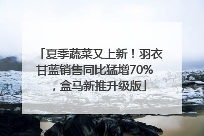 夏季蔬菜又上新！羽衣甘蓝销售同比猛增70%，盒马新推升级版