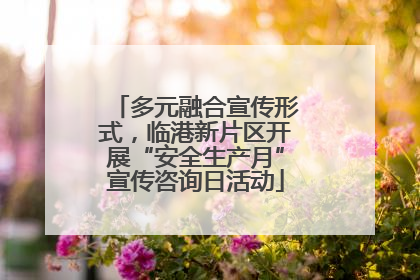 多元融合宣传形式，临港新片区开展“安全生产月”宣传咨询日活动