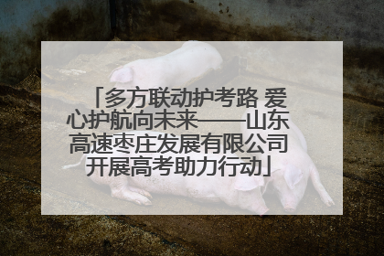 多方联动护考路 爱心护航向未来——山东高速枣庄发展有限公司开展高考助力行动
