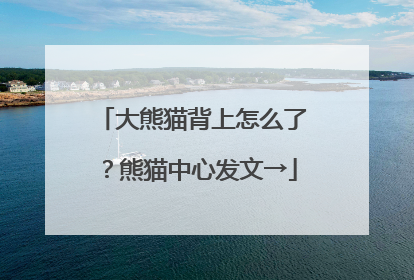 大熊猫背上怎么了？熊猫中心发文→