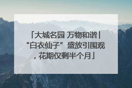 大城名园 万物和谐│“白衣仙子”盛放引围观，花期仅剩半个月