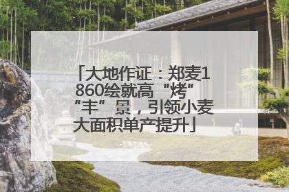 大地作证：郑麦1860绘就高“烤”“丰”景，引领小麦大面积单产提升