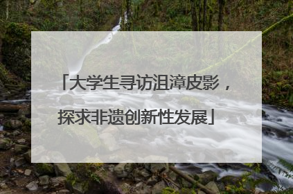 大学生寻访沮漳皮影，探求非遗创新性发展