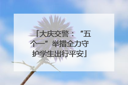 大庆交警：“五个一”举措全力守护学生出行平安