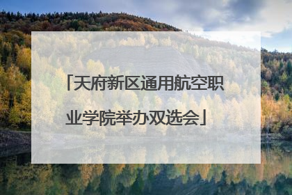 天府新区通用航空职业学院举办双选会