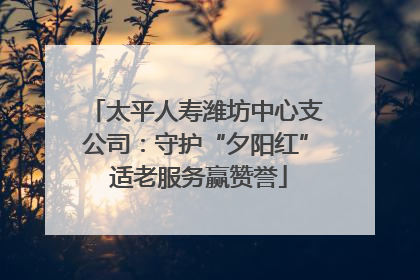 太平人寿潍坊中心支公司：守护“夕阳红” 适老服务赢赞誉