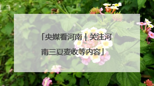 央媒看河南｜关注河南三夏麦收等内容