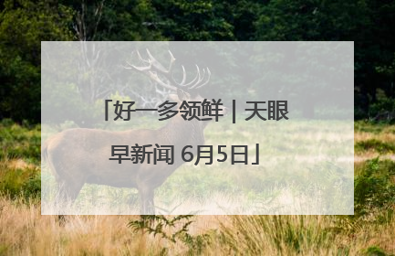 好一多领鲜｜天眼早新闻 6月5日