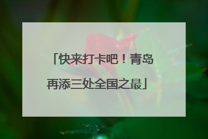 快来打卡吧！青岛再添三处全国之最