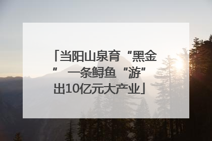 当阳山泉育“黑金” 一条鲟鱼“游”出10亿元大产业