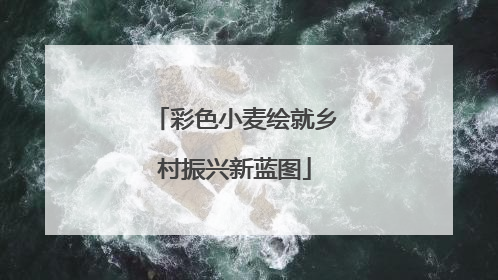 彩色小麦绘就乡村振兴新蓝图
