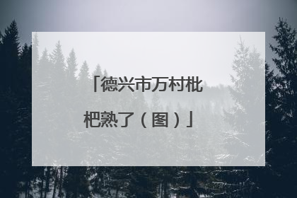 德兴市万村枇杷熟了（图）