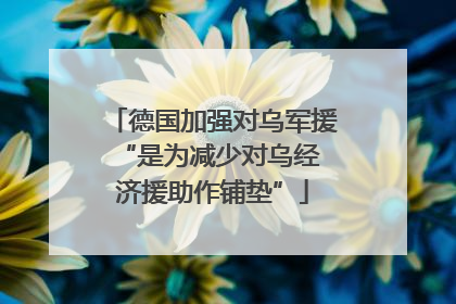 德国加强对乌军援 “是为减少对乌经济援助作铺垫”