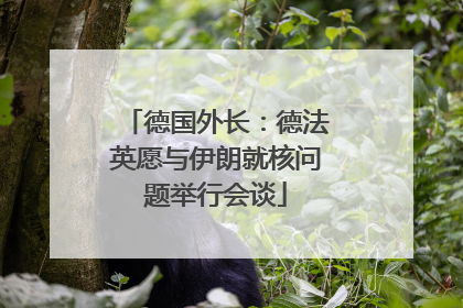 德国外长：德法英愿与伊朗就核问题举行会谈