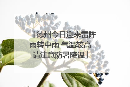 德州今日迎来雷阵雨转中雨 气温较高请注意防暑降温